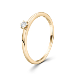 0,05 Karat Diamant Ring Gelbgold